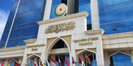 تقرير لـ "التعاون الإسلامي": 54 شهيدا و182 جريحا في فلسطين خلال أسبوع
