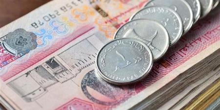 13.94 جنيها، سعر الدرهم الإماراتي في البنك المركزي اليوم السبت