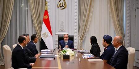 السيسي يتابع منظومة الأمن الغذائي وتوافر مخزون آمن من السلع الاستراتيجية (فيديو)
