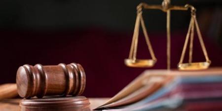 تأجيل محاكمة المتهم بخطف طفل في المعصرة انتقاما من والده لجلسة 14 سبتمبر