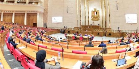 تفاصيل إنشاء المجلس الوطني لحرية تداول المعلومات