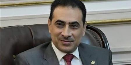 نائب رئيس جامعة القاهرة: قوة البحث العلمي وراء تصدرنا في تصنيف شنغهاي - النيل نيوز