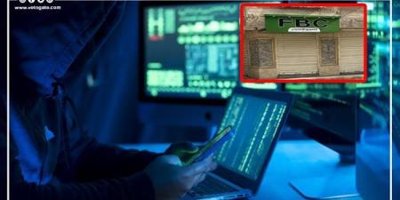 تفاصيل منح شهادة إثبات العمل في المنصات الرقمية وفق مشروع القانون - النيل نيوز