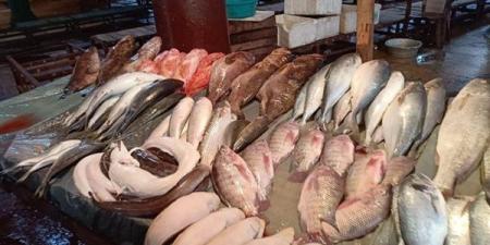 أسعار السمك اليوم، انخفاض 6 أصناف منهم البلطي والبوري وارتفاع المكرونة 10 جنيهات - النيل نيوز