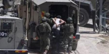 الاحتلال يجبر مواطنا على هدم منشآته الزراعية ذاتيا - النيل نيوز