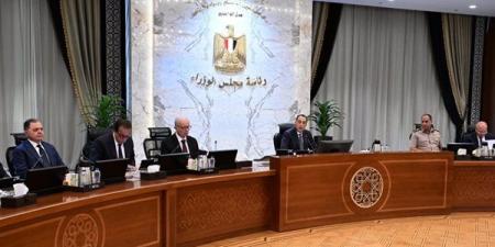 مجلس الوزراء يوافق على استمرار العمل عن بُعد يوم الأحد خلال سبتمبر - النيل نيوز