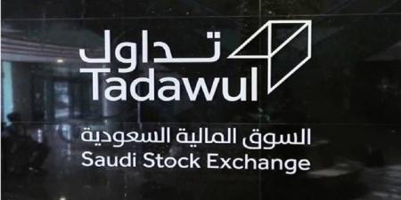 تداول السعودية توافق للأهلي المالية بمزاولة أنشطة صناعة السوق للعقود المستقبلية - النيل نيوز