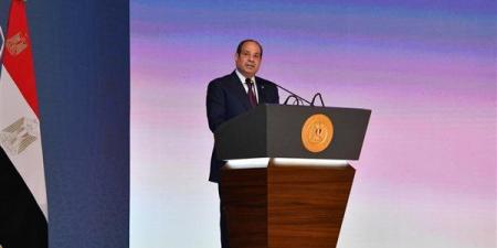 خبير اقتصادي لـ"فيتو": نجاح الاستثمارات الأجنبية يقاس بتوفير الوظائف ودعم الصادرات لا بزيادة الاحتياطي فقط - النيل نيوز