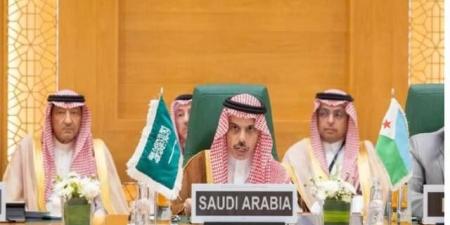 فيصل بن فرحان: التعاون والتضامن الإسلامي ضرورة في مواجهة التحديات - النيل نيوز