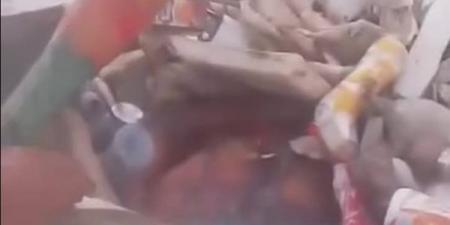تاجروا في أعضائهم وألقوا أشلاءهم في النيل، فيديو مرعــب يهز مصر ومفاجأة تقلب القصة رأسًا على عقب - النيل نيوز