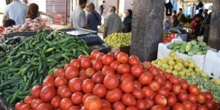 سعر الخضار اليوم، ارتفاع 10 أصناف منها الطماطم والخيار والفلفل وانخفاض البامية - النيل نيوز