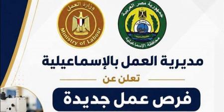 60 فرصة عمل جديدة بالإسماعيلية، مديرية العمل تعلن وظائف بالمنطقة الحرة للشباب - النيل نيوز
