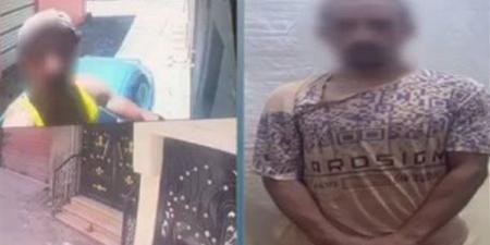 خلافات الجيرة تنتهي بسرقة كاميرا مراقبة وتحطيم سيارة في الشرقية، وضبط المتهم - النيل نيوز