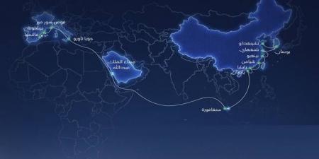 MSC تحدّث مسار خدمة شحن تربط السعودية بموانئ أوروبية وآسيوية - النيل نيوز