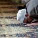 مواقيت الصلاة في مصر اليوم الخميس (تحديث)