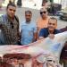 بيطري أسيوط يضبط عجلا مذبوحا خارج المجازر الحكومية ومصابا بالصفراء قبل بيعه للمواطنين