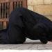 هل ترك دعاء القنوت في الفجر يبطل الصلاة؟، أمين الفتوى يجيب (فيديو)