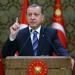 أردوغان: مستعدون لعملية إزالة الألغام من مضيق هرمز