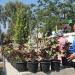 إنشاء حديقة مفتوحة بدلا من منطقة عشوائية في ميت الفرماوي بالدقهلية (صور)