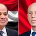 توافق مصري تونسي على تغليب الحلول السياسية وخفض التصعيد ومواجهة التحديات