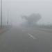 أمطار خفيفة وشبورة كثيفة، حالة الطقس غدا الثلاثاء