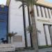 "الزراعة" تدرب 90 مهندسًا للتوسع في استخدام البدائل العضوية والحيوية