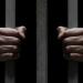 هات حقي.. ألف جنيه تشعل مشاجرة بين صديقين بالمعصرة وتنتهي بمحاولة قتل أحدهما - النيل نيوز