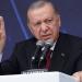 أردوغان: تركيا ليس لديها أي أجندة خفية - النيل نيوز