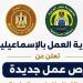 60 فرصة عمل جديدة بالإسماعيلية، مديرية العمل تعلن وظائف بالمنطقة الحرة للشباب - النيل نيوز