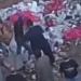 جحود يدمي القلوب، أمهات ضحايا أبنائهن تثير الصدمة وخبيرة خدمة اجتماعية تدعو لخطة قومية عاجلة - النيل نيوز