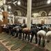 مواقيت الصلاة اليوم الثلاثاء 1 - 9 - 2026 في القاهرة والمحافظات - النيل نيوز