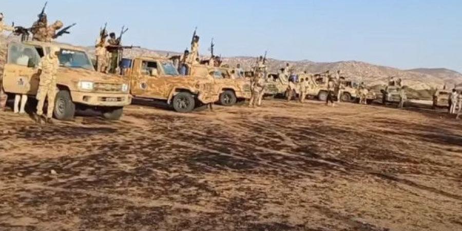 قوات الدعم السريع تعلن سيطرتها على الفاشر.. والجيش السوداني يلتزم الصمت