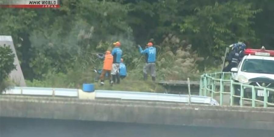 موجة مروعة لهجمات الدببة تحصد عدداً قياسياً من الوفيات في اليابان