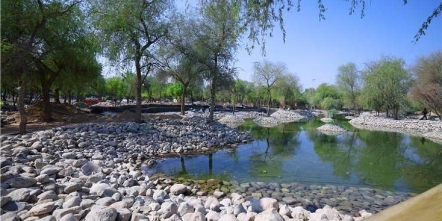 بلدية مدينة العين تطور غابة «وادي الصاروج» لتصبح وجهة ترفيهية متكاملة