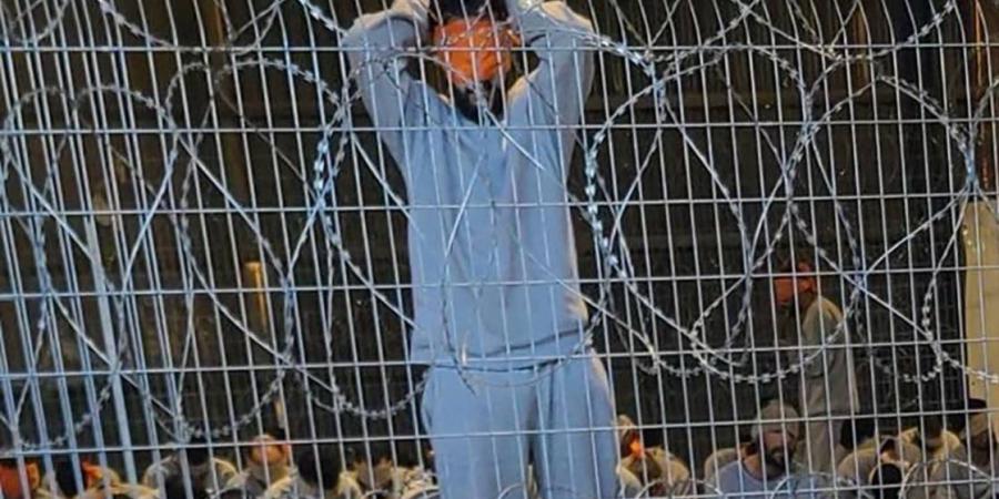 فيديو تعنيف معتقلين فلسطينيين يطيح المدعية العسكرية الإسرائيلية