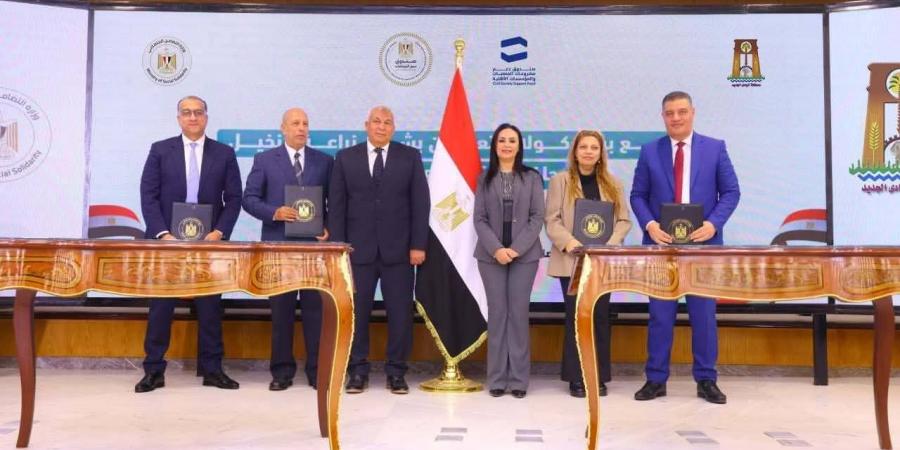 وزيرة التضامن الاجتماعي ومحافظ الوادي الجديد يشهدان توقيع 5 بروتوكولات تعاون بين الوزارة والمحافظة لإقامة مشروعات تنموية
