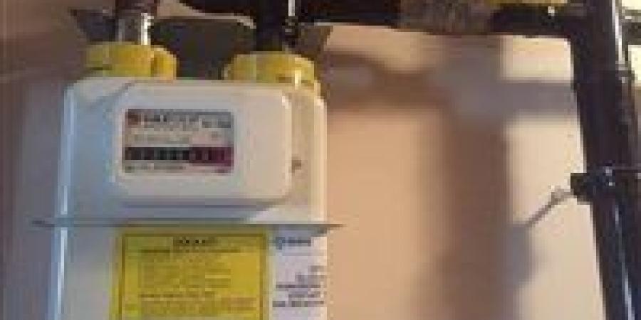 طريقة سريعة.. بدء تسجيل قراءة عدادات الغاز لشهر ديسمبر 2025 إلكترونيًا عبر بتروتريد