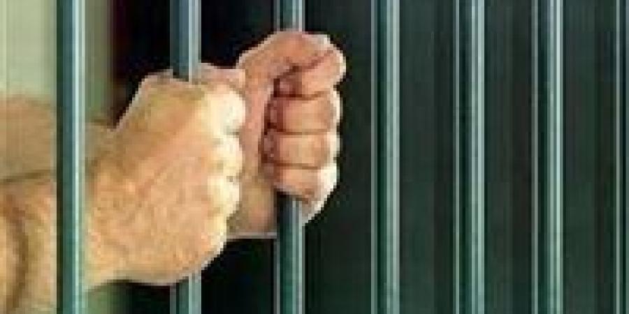 استولت على 120 مليون جنيه.. الحبس عامين للمتهم الأول في قضية الست غالية