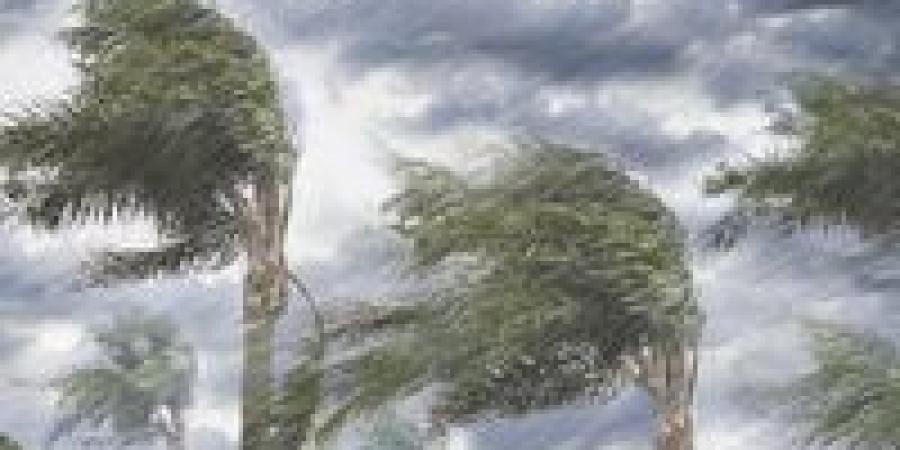 الطقس
      غدا..
      شتاء
      الإسكندرية
      برودة
      قاسية
      ليلًا
      وأمطار
      خفيفة
      مع
      بداية
      الأسبوع