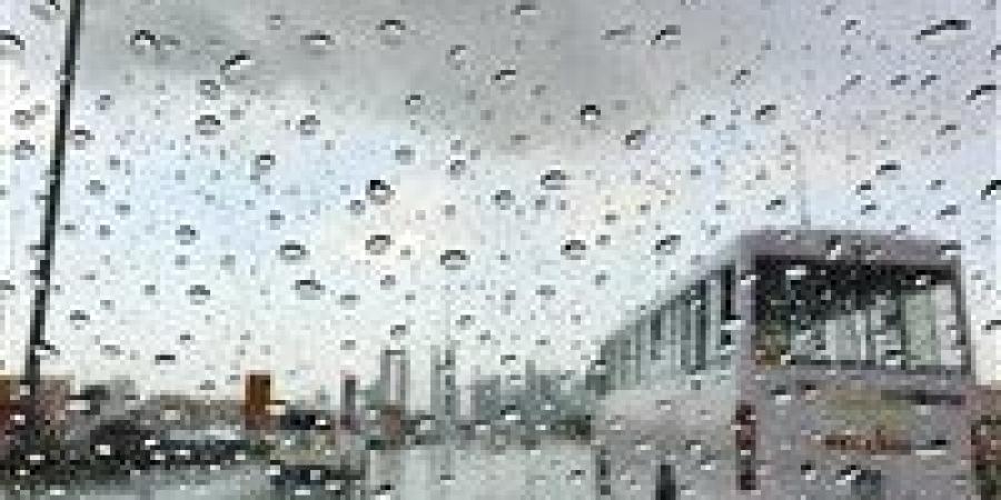 شديد
      البرودة
      صباحًا
      وليلاً
      ..حالة
      الطقس
      غدًا
      الاثنين