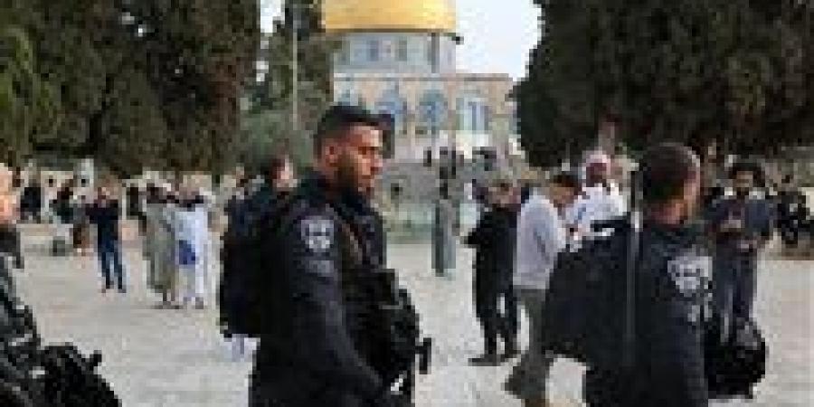 اقتحامات
      مستوطنين
      مكثفة
      للأقصى
      واعتقالات
      إسرائيلية
      نحو
      23 
      فلسطسنا
      بالضفة
      الغربية..
      تصعيد
      خطير
      يرفع
      حدة
      التوتر