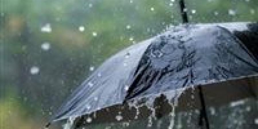 حالة
      الطقس
      غدا
      الأحد
      28-12-2025..
      شبورة
      كثيفة
      وأمطار
      ورياح
      مثيرة
      غالبية
      المحافظات