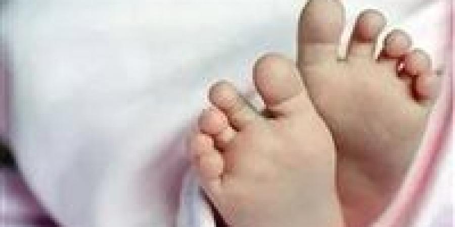 مصرع
      طفلة
      دهسًا
      أسفل
      سيارة
      ربع
      نقل
      أثناء
      رجوعها
      للخلف
      بالعياط