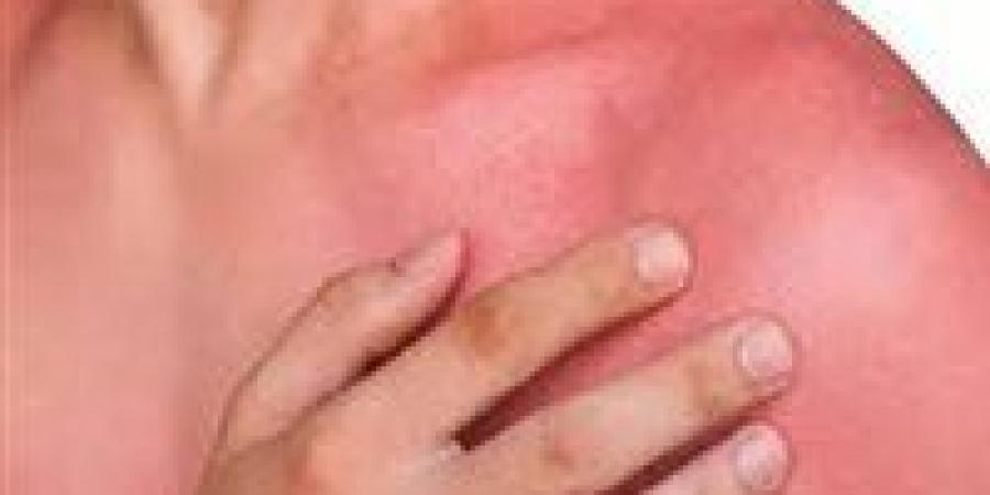 القصة
      الكاملة
      لـ
      استيراد
      الجلد
      البشري
      المجمد
      بمصر
      رسميا..تفاصيل
      وصول
      أول
      شحنة