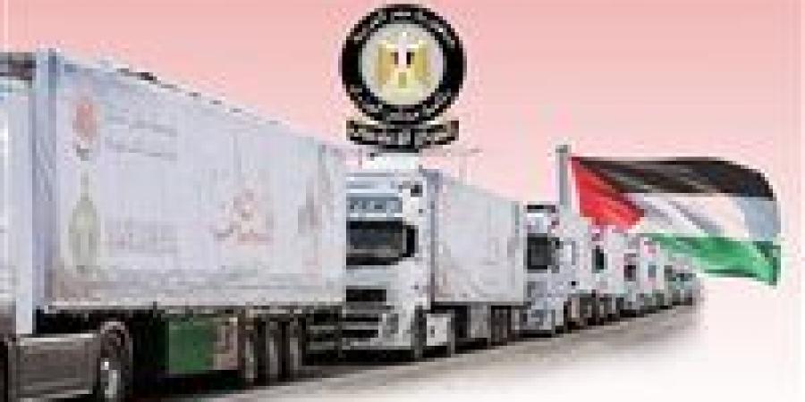 الهلال الأحمر المصري: نجحنا في إدخال نحو 240 ألف طن من مساعدات زاد العزة لغزة