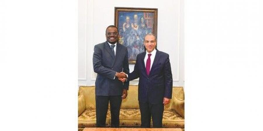 وزير الخارجية: مصر مستعدة لنقل خبراتها وتجاربها الصحية والدوائية إلى الدول الأفريقية