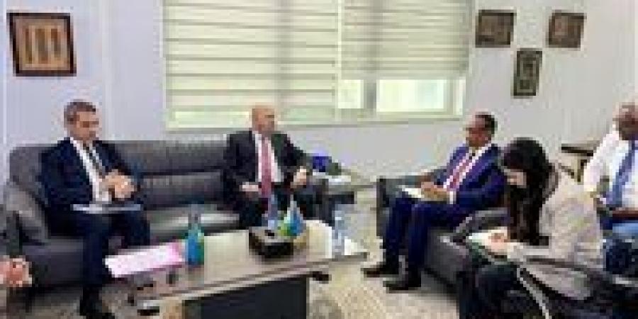 من الدواء إلى الزراعة الذكية.. مصر تعمق شراكتها الاقتصادية مع جيبوتي