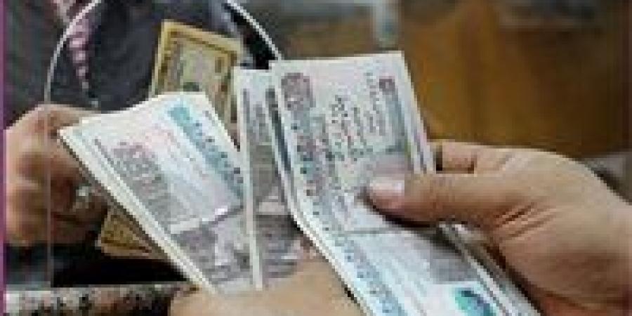 بعد قرار التبكير من المالية..موعد صرف مرتبات يناير 2026 رسميًا