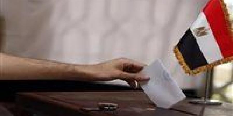 بعد بدء الصمت الانتخابي في جولى الإعادة بالدوائر الملغاة الـ 30.. انطلاق التصويت غدا بالخارج