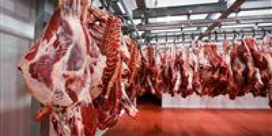 مفاجأة نهاية العام.. مصر تحقق الاكتفاء الذاتي من هذه المنتجات